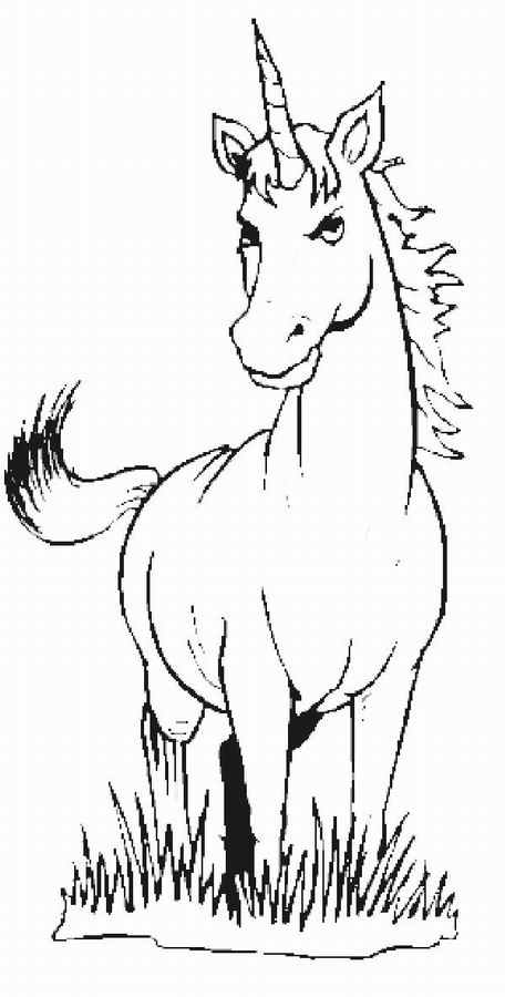 coloriage licorne dans la prairie